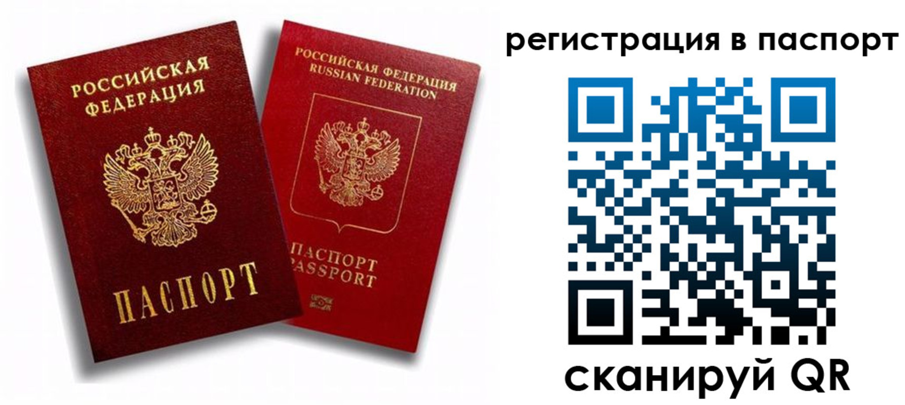 прописка 2025 в Жукове